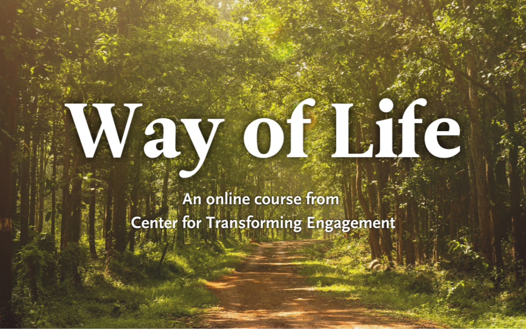Way of Life Online Course