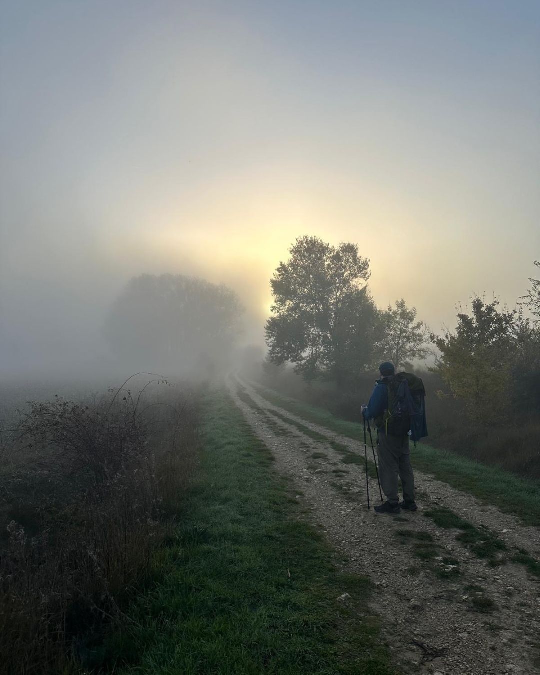 Research - Camino